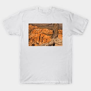 Trees Of Bryce - 1 © T-Shirt